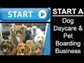 Start A Dog Day Care and Pet Boarding Business