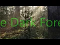 The Dark Forest (David Arkenstone).
