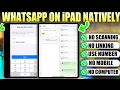 WhatsApp for iPad No Phone No Scan Required Run Natively