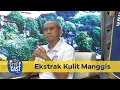 ProfCast | Episode 7 - Ekstrak Kulit Manggis