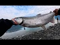 Download Lagu Silver Salmon Fishing 🎣 Trip Valdez Alaska #alaska #fishing #salmonfishing #valdez 