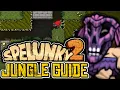 The Jungle of Spelunky 2 EXPLAINED