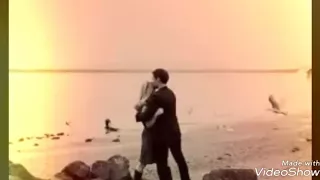 حكمة محكمة الحياة دندنها