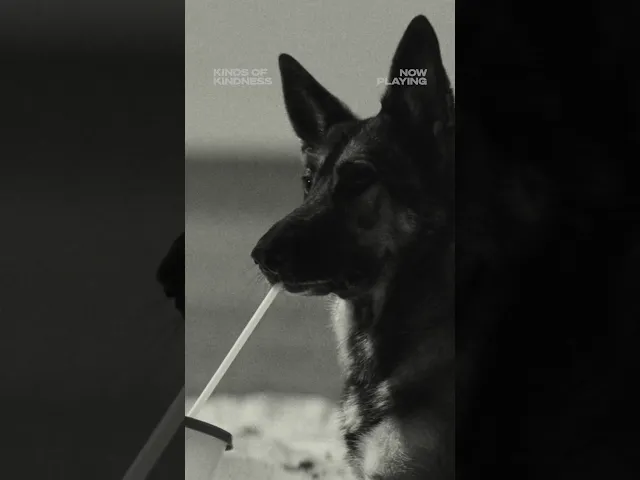 background images