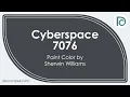 Cyberspace SW 7076 by Sherwin Williams