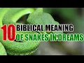 Biblical Meaning of Snakes In Dreams - Sign Meaning