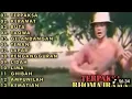 Download Lagu TERPAKSA || LAGU - LAGU RHOMA IRAMA FULL ALBUM LAWAS