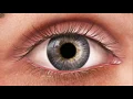Pupil reactions