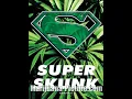 Download Lagu Dj Scott ~ Mc Stompin   Mc Techno T @ Afterdark