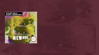 braulio silva u0026 dj jim mastershine new age original mix 