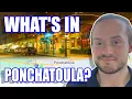 Ponchatoula Louisiana Explained Everything You MUST Know About Living in Ponchatoula HIDDEN GEM