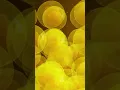 Download Lagu Dry Fasting Health Benefits #SHORTS