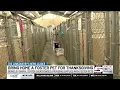 Berkeley Animal Center asking people to add a seat for a four-legged friend