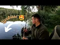 Download Lagu Quickie at the lake - after-work fishing with the feeder rod for carp, tench and bream