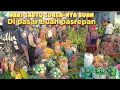 Download Lagu SABTU BANYAK BUAH NANGKA ALPUKAT MANGGA PETE HARGA MULAI TURUN \u0026 JERUK NAIK DI PASAR BUAH PASREPAN