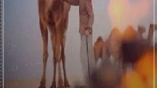 خلك ابخل رجل في سوق الكلام وخلك اجبن رجل في طعن القفا بوح خالد الشمري 