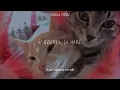 I Will - The Beatles ♡ (traducida al español y inglés)