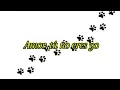 HAVHAVHAV/Lvbel C5/ subtitulado al español 