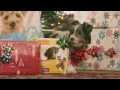 Ingles Supermarkets - All The Ingredients For Family