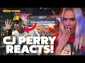 WWE Star CJ Lana Perry Reveals Her True Thoughts on Survivor Series Inside The Ring