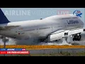 Lagu Lufthansa Boeing 747-8i's Dramatic Touch and Go at LAX | Airline Videos Live Capture
