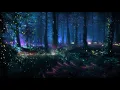 Enchanted magical forest 1 hour ambient