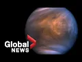 Possible signs of life discovered on Venus