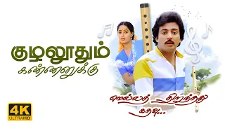 kuzhaloodum kannanukku video song 4k remastered mella thirandhathu kadhavu