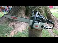 1987 Craftsman 3 Poulan Chainsaw Inspection And First Cuts