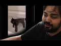 The Cat Blender Situation Got Worse