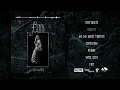 Download Lagu FIRN - Frostwärts (Full Album) 2022