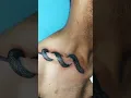 Download Lagu 400 million 😱𝐋𝐢𝐭𝐭𝐥𝐞 𝐒𝐧𝐚𝐤𝐞 𝐓𝐚𝐭𝐭𝐨𝐨🖤 Tattoo designs #viral#tattooartist#