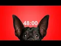 48 Minute Timer for School Homework Dog Bark Alarm Sound Improve Focus Productivity
