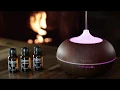 Beachwood Essentials Diffuser How to
