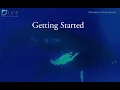 Getting Started Shormann Math Algebra 1 to Calculus