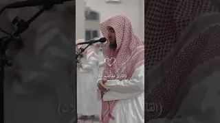 ويوم القيامة ترى الذين كذبوا على الله وجوههم مسودة القارئ عبد البديع غيلان تلاوة خاشعة قرآن  ويوم القيامة ترى الذين كذبوا على الله وجوههم مسودة القارئ عبد البديع غيلان تلاوة خاشعة قرآن