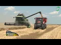 Download Lagu Producții mari de grâu, traderii nu sunt interesați să cumpere