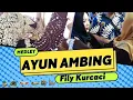 Lagu AYUN AMBING - AKU TAK BERARTI BAGIMU - BULAN MEDLEY -  FILY KURCACI live LICIN CIMALAKA