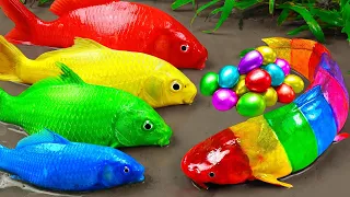 Best Of Small Fish Recipe | MINIATURE Fish Cooking Made EASY with Simple Recipe