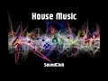 Download Lagu House Music, Mix, Elektro, Musik, Sound Club, Track