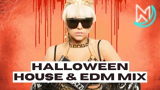 Halloween Party Mix 2026 - House & EDM Electro Club Mashups & Remixes of Popular Dance Songs #228