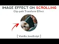 Clip-path Transform Effect on Scrolling HTML CSS Vanilla JavaScript