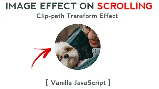 Clip-path Transform Effect on Scrolling HTML CSS Vanilla JavaScript