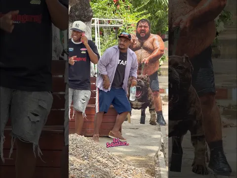 Que risa ese video 🤣🤣 #trending #humor