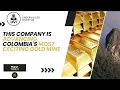 Tiger Gold TIGR V Is An Exciting Story In A Bullish Gold Market