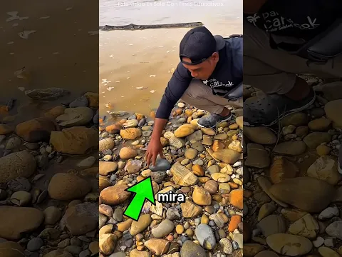 El Tesoro Oculto Dentro De La Piedra 💎😱 #shorts