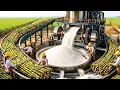 Inside the Giant American Sugarcane Refineries Transforming Fields into Pure White Gold