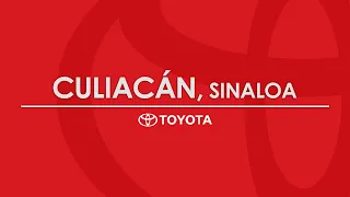 Distribuidores - Culiacan Sinaloa