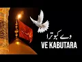 Download Lagu Ve Kabutara || وے کبوترا || New Kalam 2025