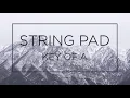 STRING PAD KEY OF A F for Backing Track